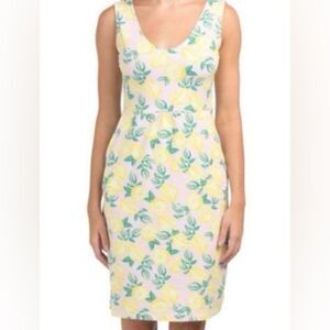 C&C‎ California Pink Lemonade Lemon Print A-line Dress Size Large Resort Wear